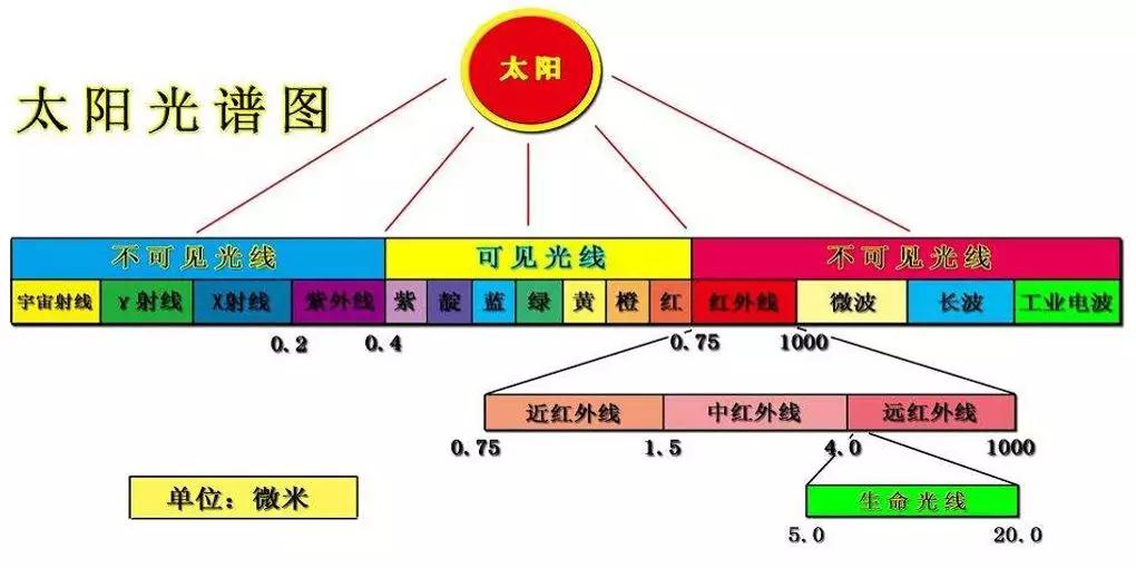 1552268002667054564.jpg